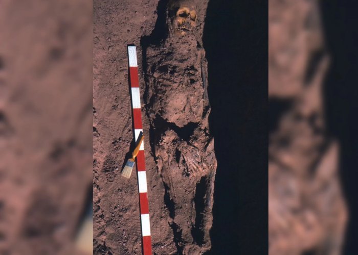 These Skeletons from an Ancient Egypt Cemetery Were Riddled with Cancer
